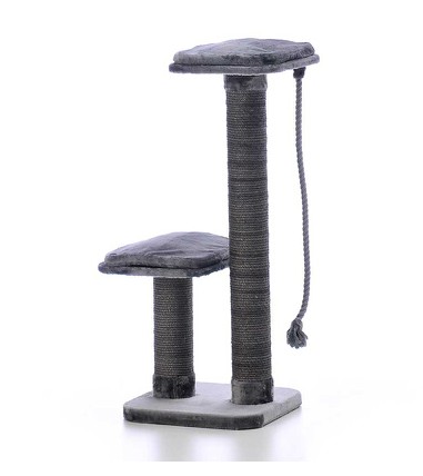 arbre a chat geant maine coon